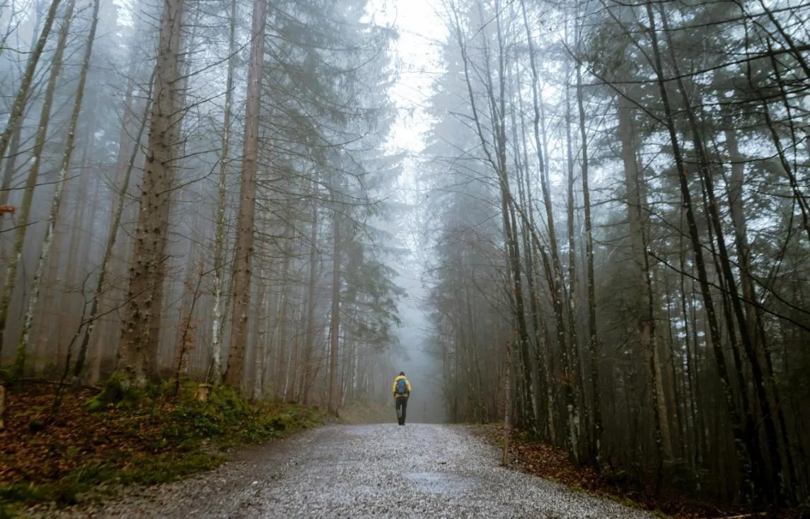 5 razones para caminar después de los 50