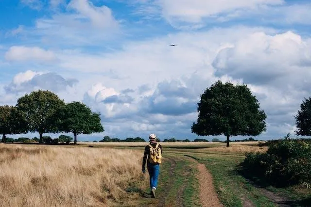 unique experience with hiking tours