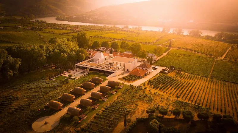 Quinta da Pacheca