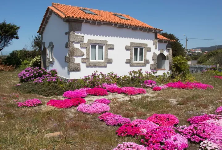 huis met roze bloemen