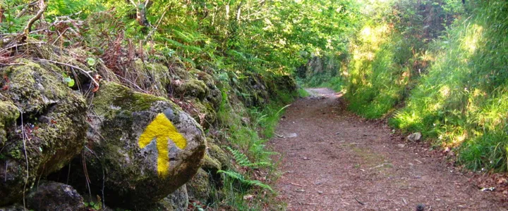 Imagen de la ruta
