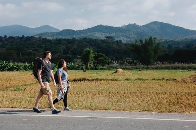 Tours of the Douro Valley: where wine culture meets natural beauty