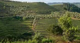 What to Expect on a Douro Valley Wine Region Hiking Tour